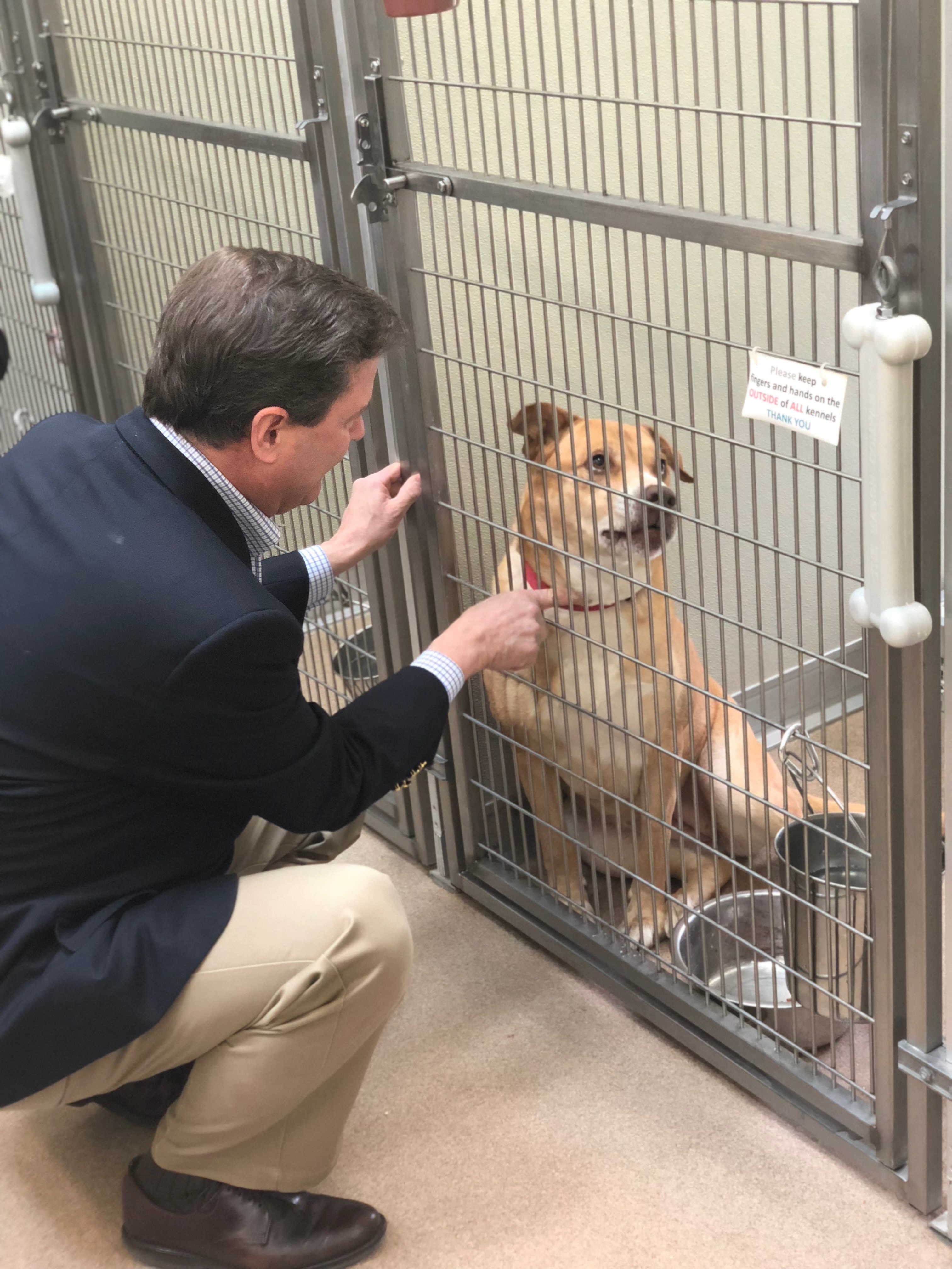 Norcross Calls for National Animal Rescue Day | Congressman Donald Norcross